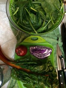 Rainbow chard, red cabbage, spinach, red apple (2)
